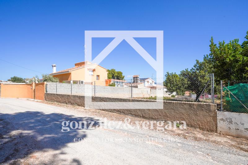 Foto 8991fc0a-4ffa-4eab-9c60-1e1d7bffe9ac. Terreny residencial a Pla dels Aljubs Pobla de Vallbona (la) Foto 8991fc0a-4ffa-4eab-9c60-1e1d7bffe9ac. Terreny residencial a Pla dels Aljubs Pobla de Vallbona (la)