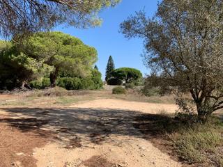 Residential Plot in Las Lagunas - Campano. Parcela en el molino viejo a la venta!! Residential Plot in Las Lagunas - Campano. Parcela en el molino viejo a la venta!!