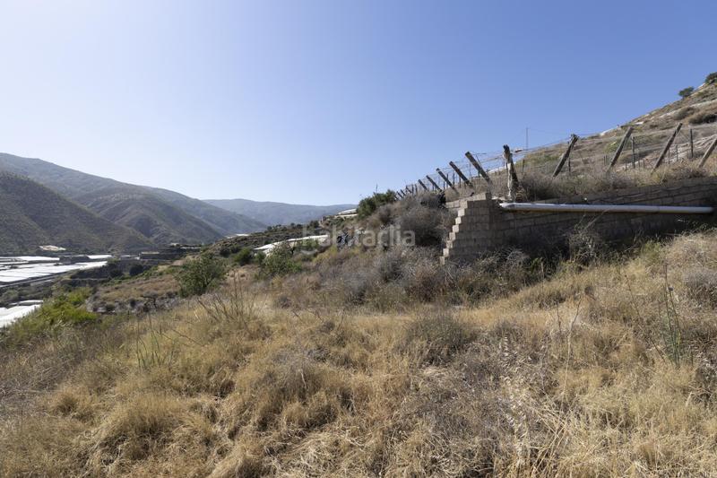 Foto 7f91a083-74ec-465a-b694-b10f824c4873. Fondo rustico in Albuñol Foto 7f91a083-74ec-465a-b694-b10f824c4873. Fondo rustico in Albuñol