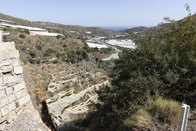 Foto 91245fa4-f22f-46f5-a897-046d7a510816. Fondo rustico in Albuñol Foto 91245fa4-f22f-46f5-a897-046d7a510816. Fondo rustico in Albuñol