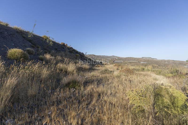Foto 168a5d2f-95e1-4109-a100-ccd1e4644d24. Fondo rustico in Albuñol Foto 168a5d2f-95e1-4109-a100-ccd1e4644d24. Fondo rustico in Albuñol