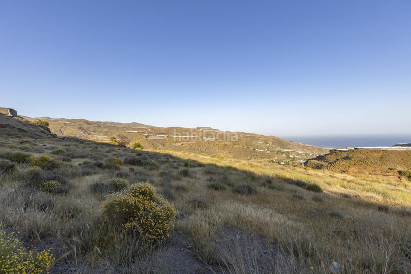 Foto ca80b64f-f1af-4a94-a28d-4ace2f055c6a. Fondo rustico in Albuñol Foto ca80b64f-f1af-4a94-a28d-4ace2f055c6a. Fondo rustico in Albuñol