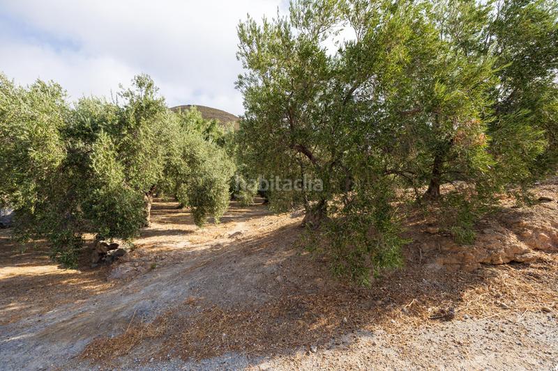 Foto d63e1674-e6dc-4671-8b56-0d2e55f2dbf5. Finca rústica a Lanjarón Foto d63e1674-e6dc-4671-8b56-0d2e55f2dbf5. Finca rústica a Lanjarón