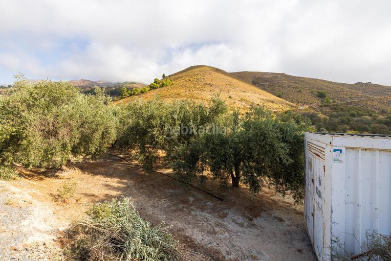 Foto f4a47de9-f7d2-4634-b814-a58e275e6c5a. Finca rústica a Lanjarón Foto f4a47de9-f7d2-4634-b814-a58e275e6c5a. Finca rústica a Lanjarón
