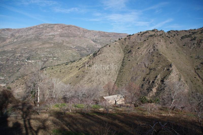 Foto f8c8fdcb-ed7c-49d3-8488-8e2bf7acdbd1. Mas dans Güéjar Sierra Foto f8c8fdcb-ed7c-49d3-8488-8e2bf7acdbd1. Mas dans Güéjar Sierra