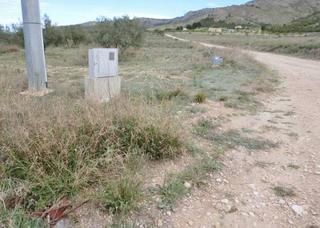 Rural plot in Sax. Terreno rustico Rural plot in Sax. Terreno rustico