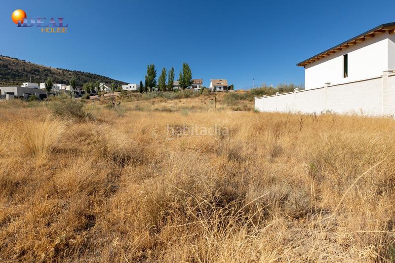 Foto 55e49052-209a-42ba-9930-513ee604f0de. Terreny residencial a calle puntal de las siete lagunas 37 a Dílar Foto 55e49052-209a-42ba-9930-513ee604f0de. Terreny residencial a calle puntal de las siete lagunas 37 a Dílar