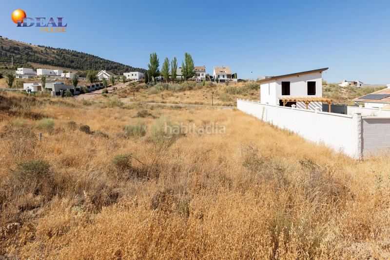 Foto 70b5d150-96a8-4db4-b93a-66323c3dcae5. Terreny residencial a calle puntal de las siete lagunas 37 a Dílar Foto 70b5d150-96a8-4db4-b93a-66323c3dcae5. Terreny residencial a calle puntal de las siete lagunas 37 a Dílar
