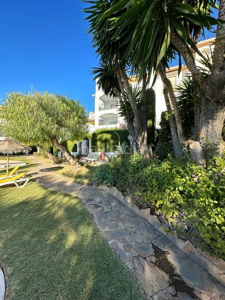 Foto 058ef46a-fe4e-4746-9a45-0f545017993f. Alquiler apartamento magnifico piso en alquiler en nueva andalucia en Marbella Foto 058ef46a-fe4e-4746-9a45-0f545017993f. Alquiler apartamento magnifico piso en alquiler en nueva andalucia en Marbella