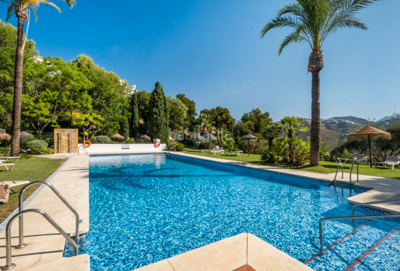 Foto dc3b5e92-155d-4dd1-97b3-9a36649d3dde. Piccolo appartamento in calle diego de almagro 4 in Benahavís Foto dc3b5e92-155d-4dd1-97b3-9a36649d3dde. Piccolo appartamento in calle diego de almagro 4 in Benahavís