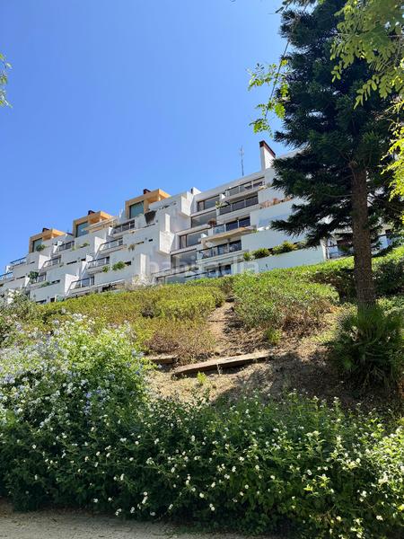 Foto 9afac7de-a794-4232-b7e3-6b286b306587. Affitto attico in calle vereda alta del rio 2 in Los Flamingos Benahavís Foto 9afac7de-a794-4232-b7e3-6b286b306587. Affitto attico in calle vereda alta del rio 2 in Los Flamingos Benahavís