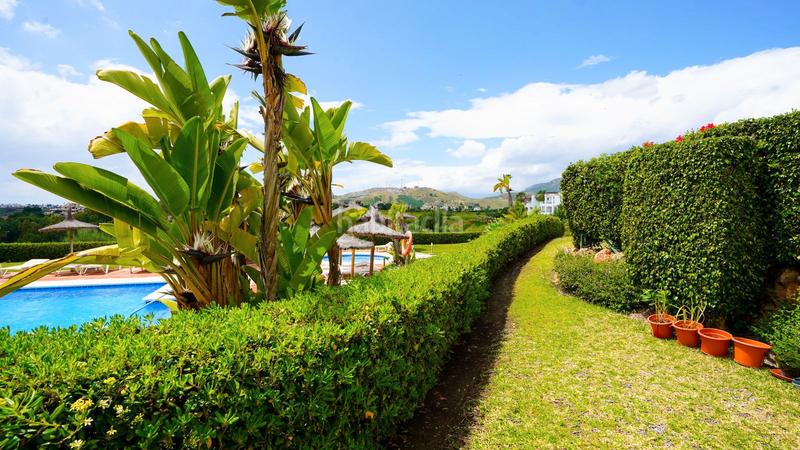 Foto 5a4227cc-4fd1-41e8-9504-a2f0f905e038. Piccolo appartamento in calle la pacheca alta 22 in Benahavís Foto 5a4227cc-4fd1-41e8-9504-a2f0f905e038. Piccolo appartamento in calle la pacheca alta 22 in Benahavís