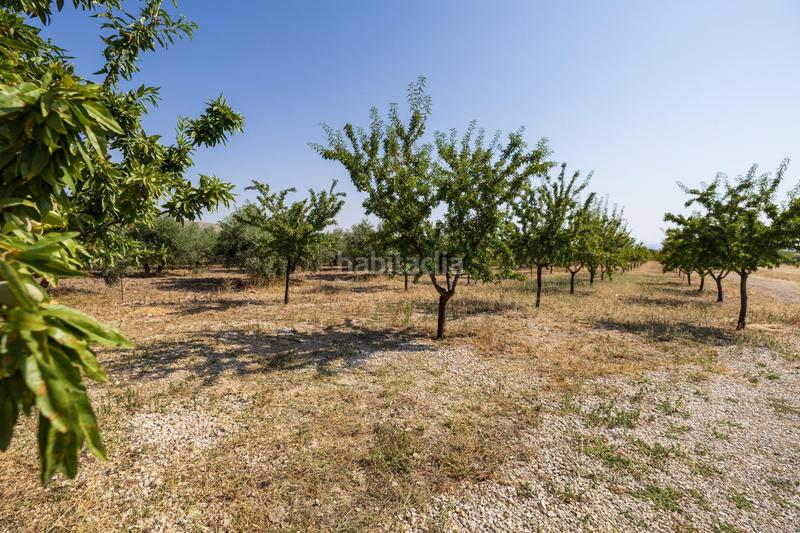 Foto f92552d7-54e3-44fe-a962-7c32e0a7e167. Xalet amb calefacció aparcament a Darro Foto f92552d7-54e3-44fe-a962-7c32e0a7e167. Xalet amb calefacció aparcament a Darro