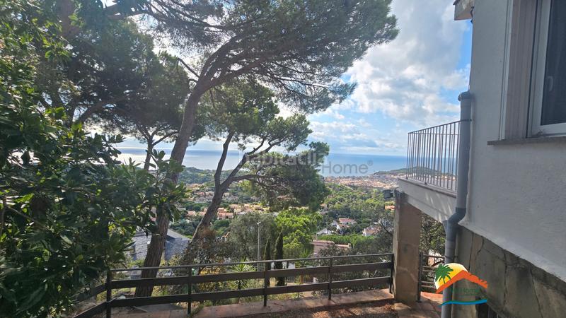 Foto 790593af-d1be-4605-b0f6-0fe39ab5c986. Doppelhaus mit kamin in Roca Grossa Lloret de Mar Foto 790593af-d1be-4605-b0f6-0fe39ab5c986. Doppelhaus mit kamin in Roca Grossa Lloret de Mar