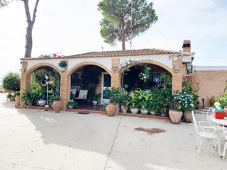 Masia a Bonares. Finca con vivienda en bonares huelva Masia a Bonares. Finca con vivienda en bonares huelva