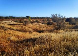 Residential Plot in Navalvillar de Pela Residential Plot in Navalvillar de Pela