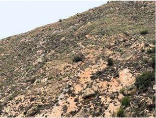 Residential Plot in Uleila del Campo Residential Plot in Uleila del Campo