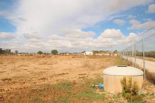 Rural plot in Pozoalbero. Parcela rustica de regadio Rural plot in Pozoalbero. Parcela rustica de regadio