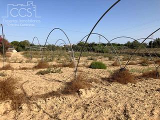 Masia a Almonte. Venta de finca en propiedad de 9.744 m2 de terreno con vivienda Masia a Almonte. Venta de finca en propiedad de 9.744 m2 de terreno con vivienda