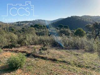 Finca rústica a Castillo de las Guardas (El). Venta de finca de 6ha. en el castillo de las guardas junto a la Finca rústica a Castillo de las Guardas (El). Venta de finca de 6ha. en el castillo de las guardas junto a la