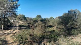 Fondo rustico in Almonte. Venta de finca en propiedad de 12.600 m2 de terreno en almonte h Fondo rustico in Almonte. Venta de finca en propiedad de 12.600 m2 de terreno en almonte h