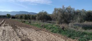 Masia a Otura Masia a Otura