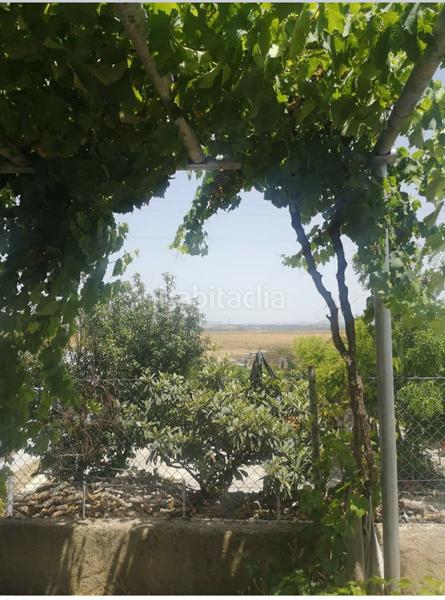 Foto 13a21995-3022-4b84-8a7e-aec08c9a82bb. Mas dans Barbate Barbate Foto 13a21995-3022-4b84-8a7e-aec08c9a82bb. Mas dans Barbate Barbate