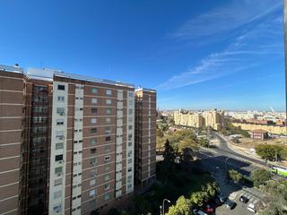 Pis a San Pablo Pis a San Pablo