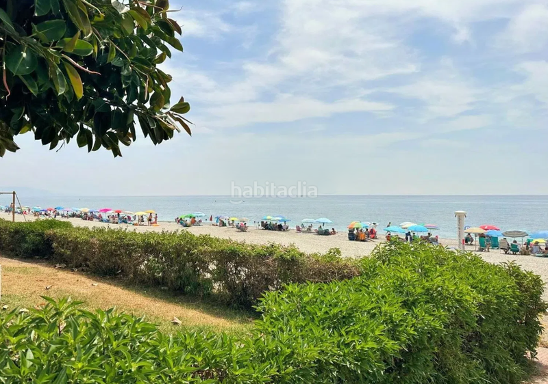 Foto 20bdfa7d-924f-434d-b535-94c8eb38520d. Apartamento en El Peñoncillo Torrox Foto 20bdfa7d-924f-434d-b535-94c8eb38520d. Apartamento en El Peñoncillo Torrox
