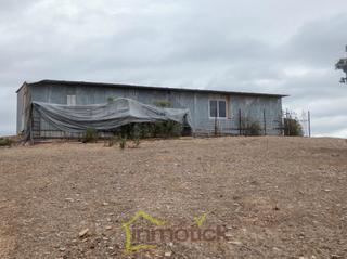 Mas à Tharsis. Se vende finca rustica de 20 hectareas Mas à Tharsis. Se vende finca rustica de 20 hectareas