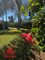 Location Appartement à Costa Ballena - Largo norte. Disfruta de tus vacaciones en urbanización playa ballena, en es Location Appartement à Costa Ballena - Largo norte. Disfruta de tus vacaciones en urbanización playa ballena, en es