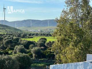 Finca rústica a Facinas. Finca rústica en venta en tarifa, zona la campana Finca rústica a Facinas. Finca rústica en venta en tarifa, zona la campana