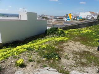 Propriété à Medina - Sidonia. Solar urbano en medina sidonia, cerca del ayuntamiento. Propriété à Medina - Sidonia. Solar urbano en medina sidonia, cerca del ayuntamiento.