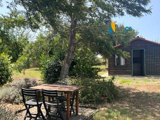 Finca rústica (carril) pies quemados. Parcela rústica con bungalow en la zona de barrio nuevo Finca rústica (carril) pies quemados. Parcela rústica con bungalow en la zona de barrio nuevo