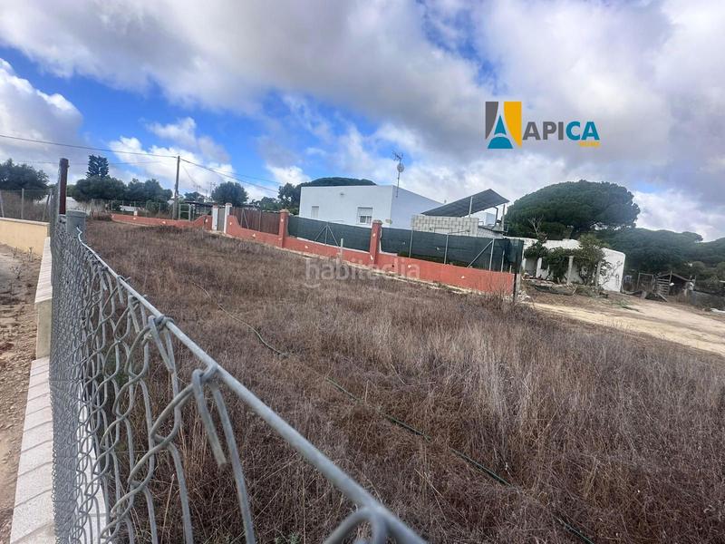 Foto 3e01c814-5c4c-4c5e-9d0f-6d9cad293dff. Finca rústica a Barbate Barbate Foto 3e01c814-5c4c-4c5e-9d0f-6d9cad293dff. Finca rústica a Barbate Barbate