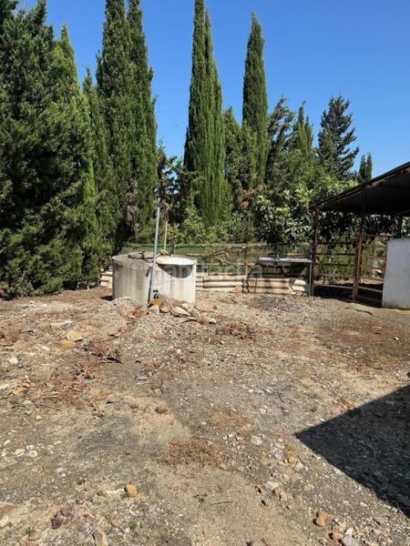 Foto 5cfc5e1f-f0e7-45ab-8c52-7b04f98877e8. Casale in Vejer Vejer de la Frontera Foto 5cfc5e1f-f0e7-45ab-8c52-7b04f98877e8. Casale in Vejer Vejer de la Frontera