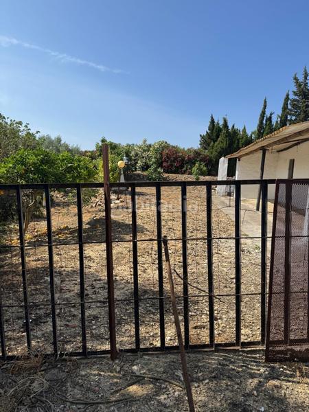 Foto ffe0d356-4ad3-478e-aea8-fe8f1b332f61. Casale in Vejer Vejer de la Frontera Foto ffe0d356-4ad3-478e-aea8-fe8f1b332f61. Casale in Vejer Vejer de la Frontera