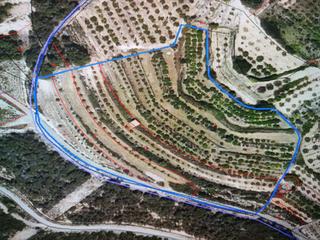 Terreny residencial  Poligono 12. Parcela rustica. Terreny residencial  Poligono 12. Parcela rustica.