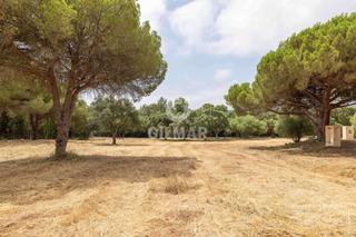 Wohngrundstück in Sotogrande Alto. Parcela doble en primera línea del real club valderrama  sotogra Wohngrundstück in Sotogrande Alto. Parcela doble en primera línea del real club valderrama  sotogra