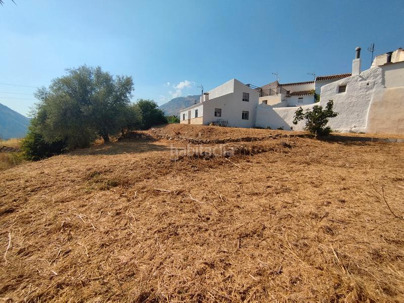 Foto 7b49db6b-0a43-41e2-947d-003b44123c8b. House with fireplace in Alcaucín Foto 7b49db6b-0a43-41e2-947d-003b44123c8b. House with fireplace in Alcaucín