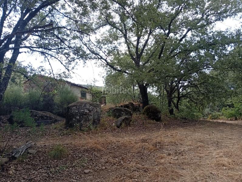 Foto 5694e4f0-8f61-4474-9ae0-b6604c142f32. Finca rústica a Villanueva de la Vera Foto 5694e4f0-8f61-4474-9ae0-b6604c142f32. Finca rústica a Villanueva de la Vera