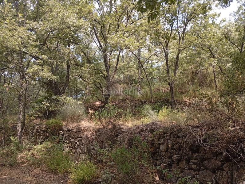 Foto ab844aa0-47e9-468a-865a-b39abb1a850d. Finca rústica a Villanueva de la Vera Foto ab844aa0-47e9-468a-865a-b39abb1a850d. Finca rústica a Villanueva de la Vera