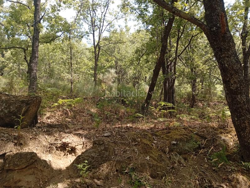 Foto af3cc0a7-dd99-4cd1-ab2e-8b8c20cec5ed. Finca rústica a Villanueva de la Vera Foto af3cc0a7-dd99-4cd1-ab2e-8b8c20cec5ed. Finca rústica a Villanueva de la Vera