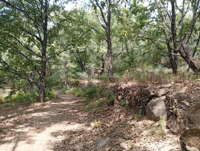 Foto d16574fa-5757-4c84-bece-b4b1dab04225. Finca rústica a Villanueva de la Vera Foto d16574fa-5757-4c84-bece-b4b1dab04225. Finca rústica a Villanueva de la Vera