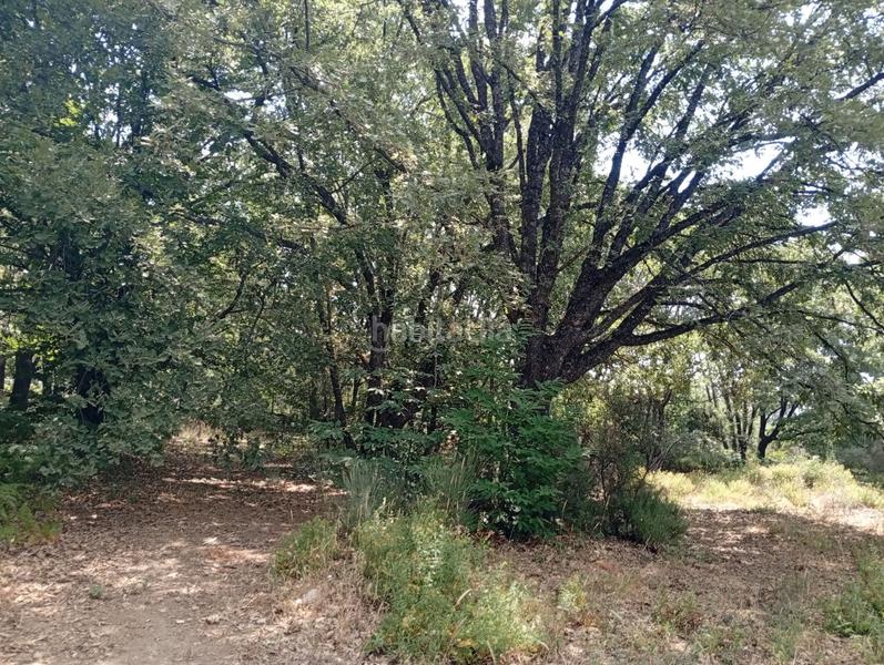 Foto f9ea8888-9261-4801-b91d-3c3691130a5f. Finca rústica a Villanueva de la Vera Foto f9ea8888-9261-4801-b91d-3c3691130a5f. Finca rústica a Villanueva de la Vera