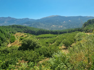 Fondo rustico in Mombeltrán Fondo rustico in Mombeltrán