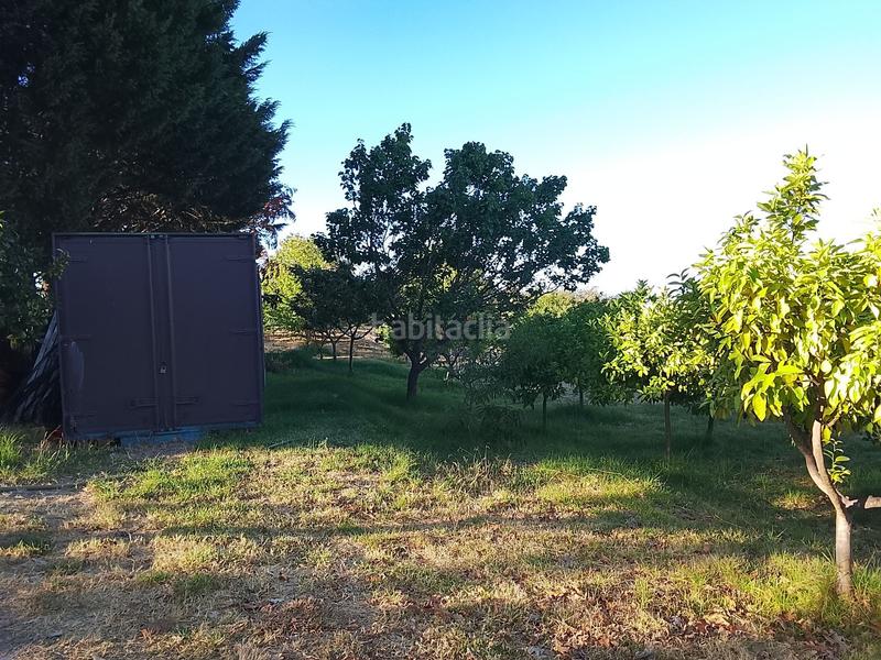 Foto b89bf5da-002d-45b5-a9fc-92a400da243f. Propriété dans Madrigal de la Vera Foto b89bf5da-002d-45b5-a9fc-92a400da243f. Propriété dans Madrigal de la Vera