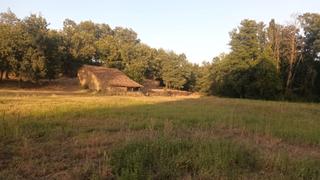 Rural plot in Villanueva de la Vera Rural plot in Villanueva de la Vera
