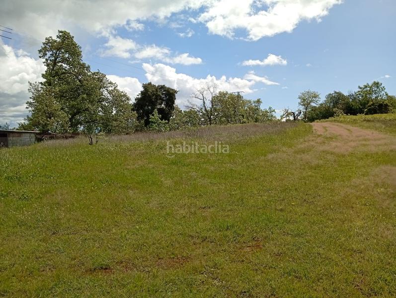 Foto 9f786a16-2dc3-4382-abdc-6d76d0a8a0b1. Finca rústica a Villanueva de la Vera Foto 9f786a16-2dc3-4382-abdc-6d76d0a8a0b1. Finca rústica a Villanueva de la Vera
