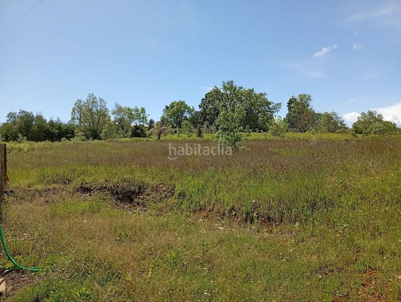 Foto a88e1a26-cbaa-49be-b1f4-909e452900b4. Finca rústica a Villanueva de la Vera Foto a88e1a26-cbaa-49be-b1f4-909e452900b4. Finca rústica a Villanueva de la Vera